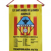 44-band-rect1