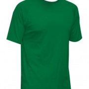 61 tec verde